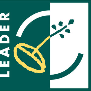 logo LEADER medium